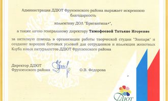 Благодарственное письмо от администрации ДДЮТ Фрунзенского района
